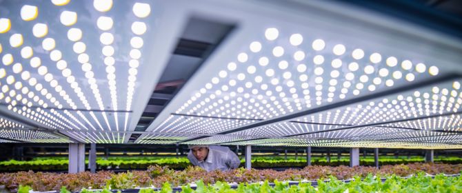 Virtual farming