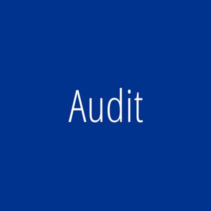 Audit