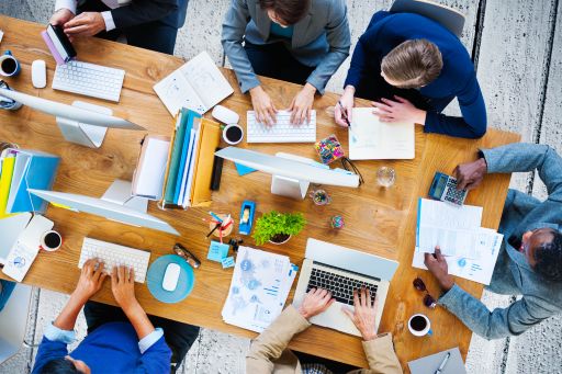 IT Project Advisory