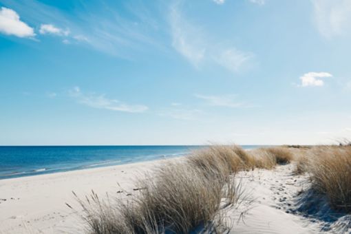 A beautiful beach