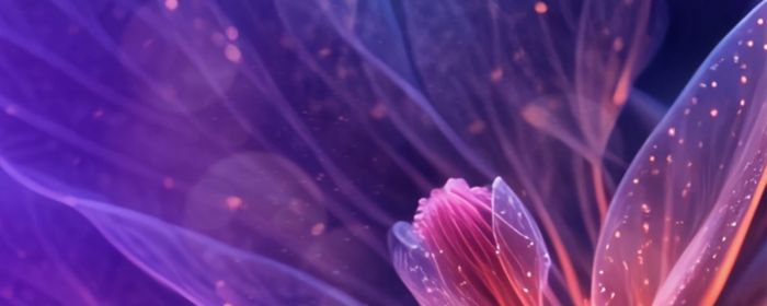 Pink glowing flower