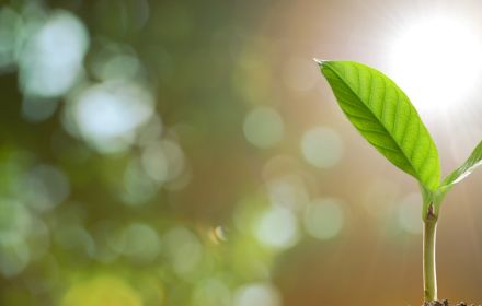 Agribusiness Agenda 2019