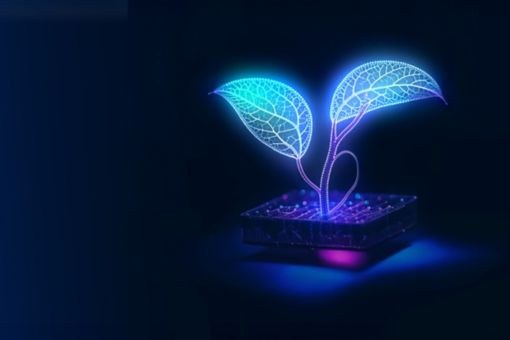 Small plant made of neon lights