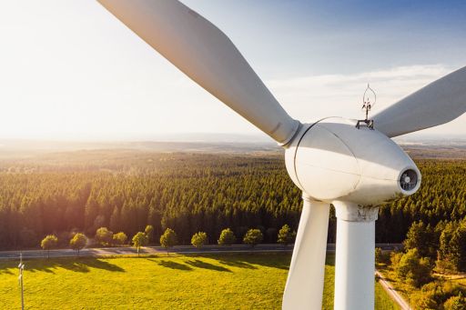 Insights for energy leaders