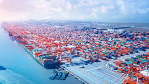 Trade & Customs Insights
