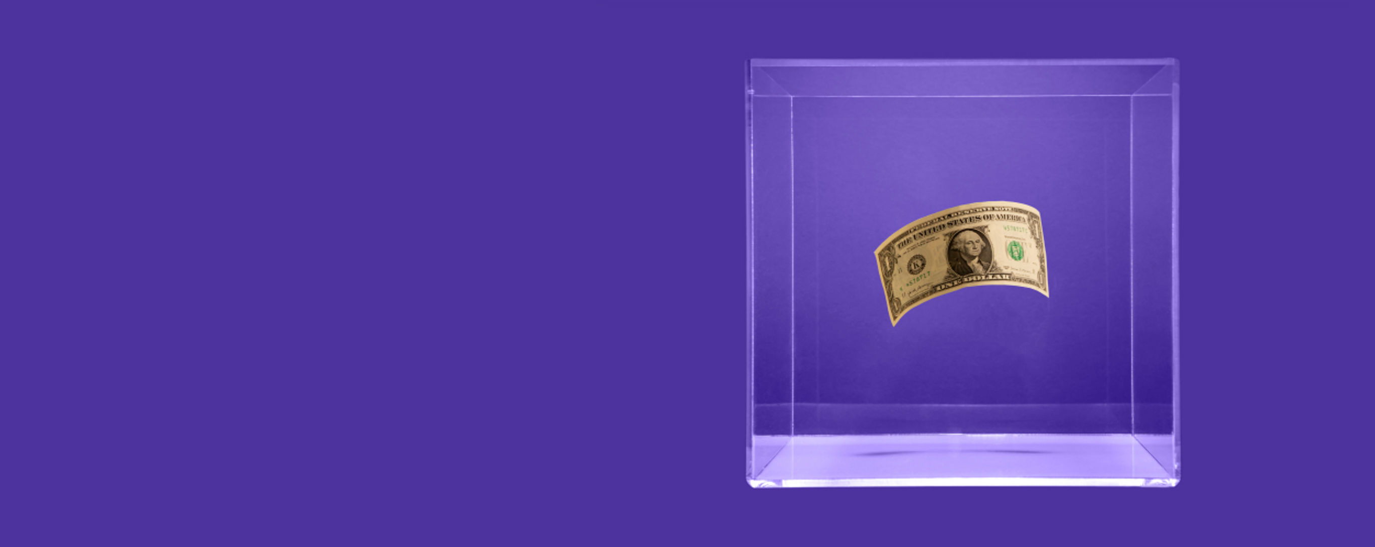 dollar bill in ice